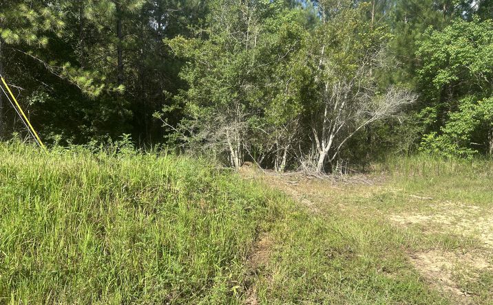 Pictures of Land property located at 0 Mississippi 67, Biloxi, MS 39532 for sales - image #1