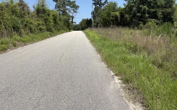 Pictures of Land, Special Purpose, Multifamily property located at Tbd Boston Wells Road, Alcolu, SC 29001 for sales - image #1