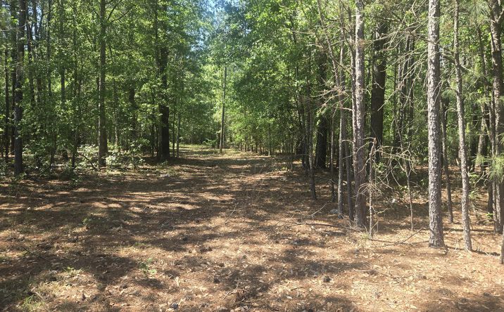 415 Pearson Road, Sumter