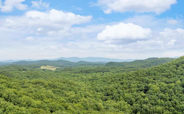 Pictures of Land property located at 57.64 ac Mountain Ash Road, Ellijay, GA 30536 for sales - image #1
