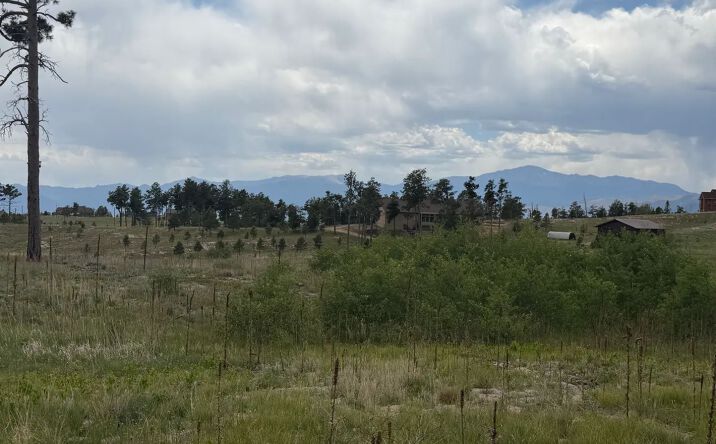 Pictures of Land property located at 13810 Wildoak Dr, 16011, CO 80907 for sales - image #1