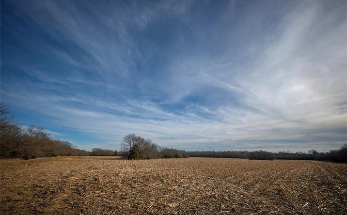 Pictures of Land property located at SW County 13007 Road, Hume, MO 64752 for sales - image #1