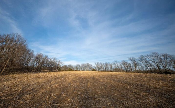Pictures of Land property located at TBD Road, Hume, MO 64752 for sales - image #1