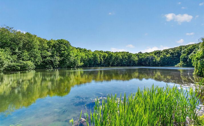 Pictures of Land, Multifamily property located at 29-35 Bowen Court, Holmes, NY 10512 for sales - image #1