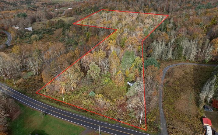 Pictures of Land property located at 22 State Route 52A, Kenoza Lake, NY 12750 for sales - image #1