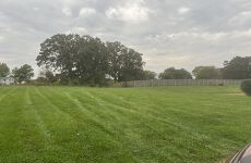 33602728
