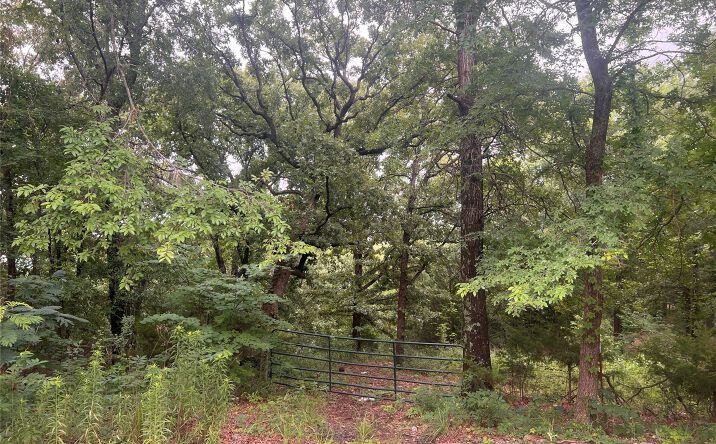 Pictures of Land property located at 2407 Central, Poteau, OK 74953 for sales - image #1