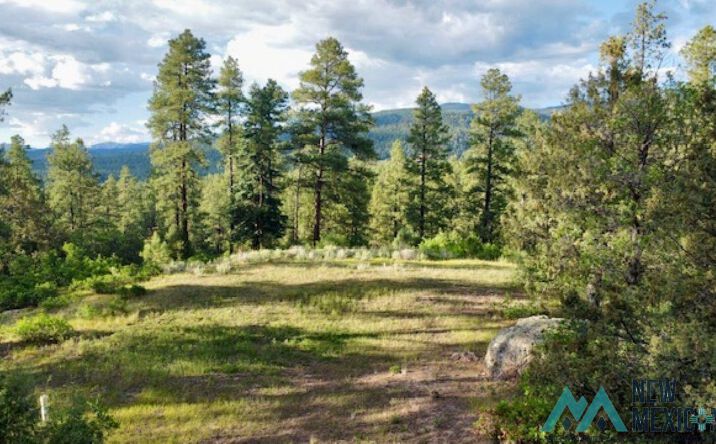Pictures of Land property located at Owls 2A Blue Spruce Trail, Chama, NM 87520 for sales - image #1