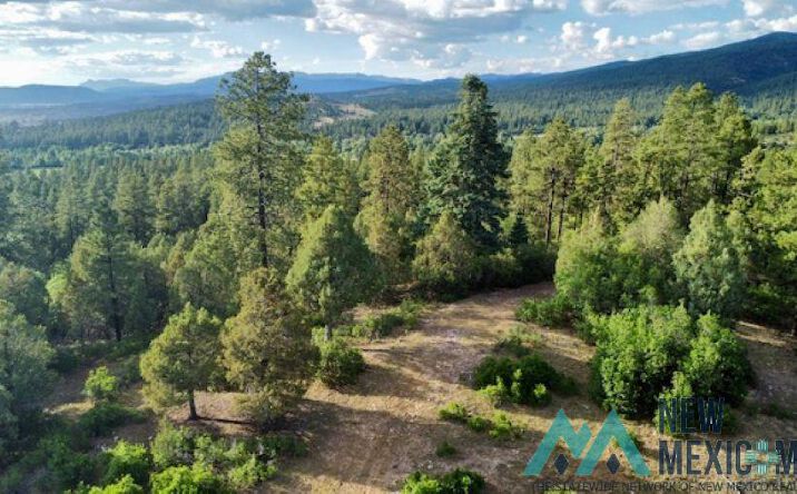 Pictures of Land property located at TBD Log Ridge Trail Trail, Chama, NM 87520 for sales - image #1