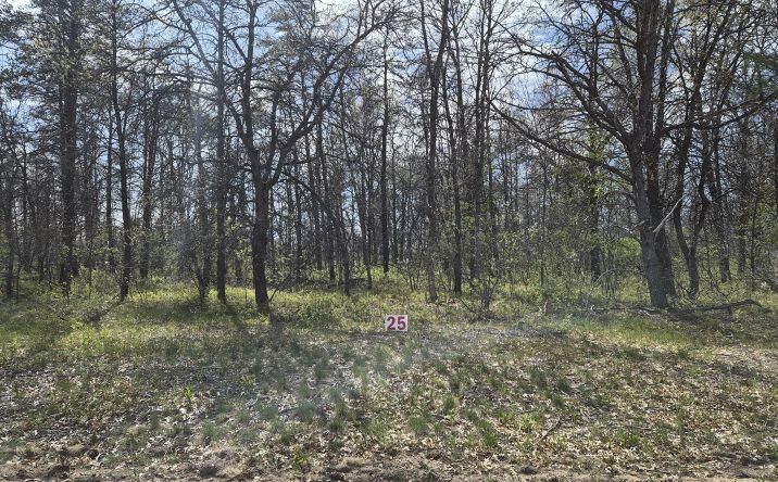 Pictures of Land property located at Lot 40 Northwood, Grayling, MI 49738 for sales - image #1