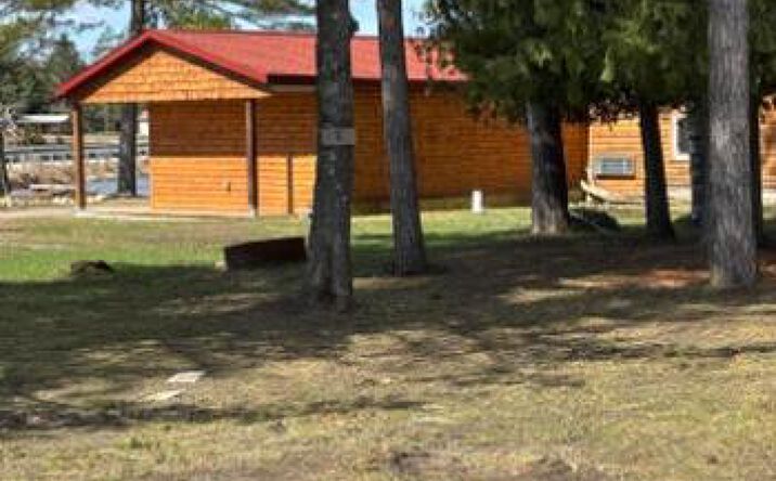 Pictures of Retail property located at 9994 M-33, Onaway, MI 49765 for sales - image #1
