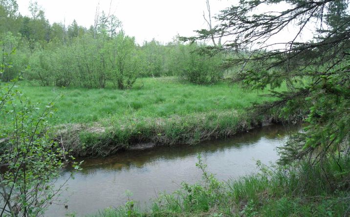 Pictures of Land property located at Spikehorn Indian River, Indian River, MI 49749 for sales - image #1