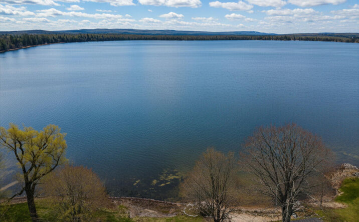 Pictures of Land property located at Latocha Rd, Pellston, MI 49769 for sales - image #1