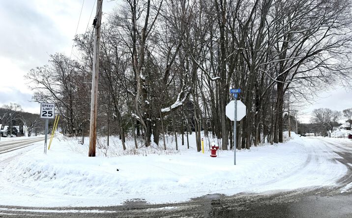 Pictures of Land property located at 109 W Morgan St, Boyne City, MI 49712 for sales - image #1