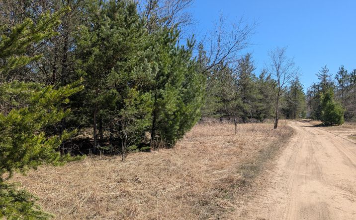 Pictures of Land property located at 3 Sturgis Dr, Atlanta, MI 49709 for sales - image #1