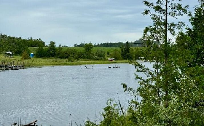 Pictures of Land property located at Lot 9 Mograin, Cheboygan, MI 49721 for sales - image #1