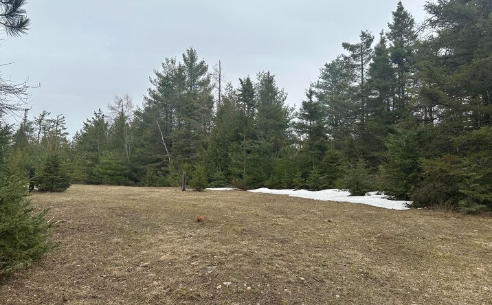 Pictures of Land property located at 4200 Bloom Rd, Alpena, MI 49707 for sales - image #1