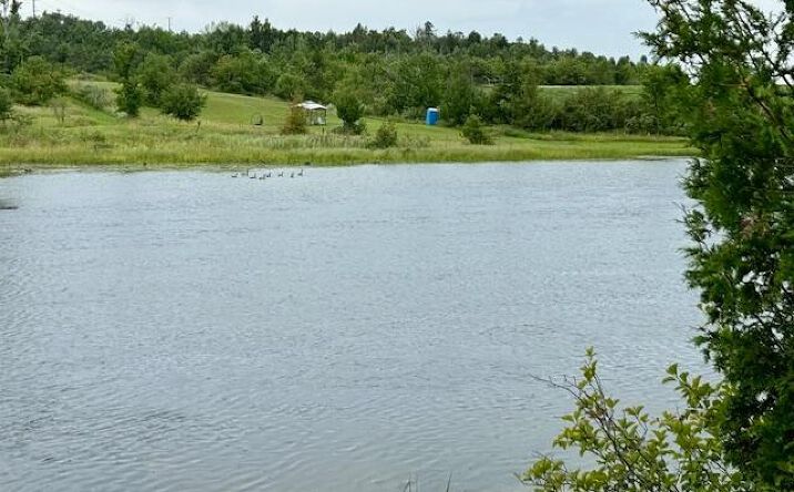 Pictures of Land property located at Lot 8 Mograin, Cheboygan, MI 49721 for sales - image #1