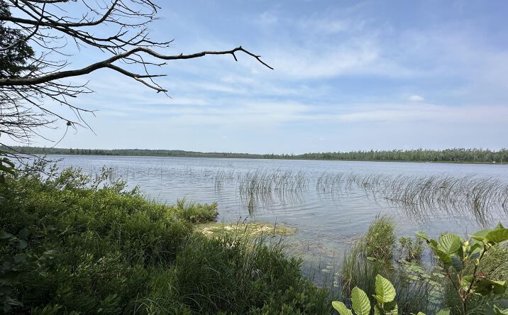 Pictures of Land property located at Kelley Dr, Millersburg, MI 49759 for sales - image #1