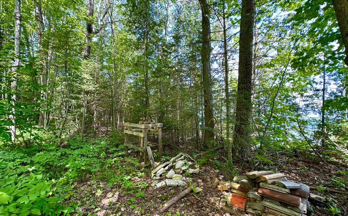 Pictures of Land property located at Lot 9 W US 23, Cheboygan, MI 49721 for sales - image #1