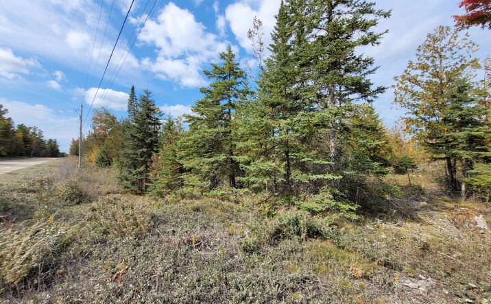 Pictures of Land property located at Airport, Rogers City, MI 49779 for sales - image #1