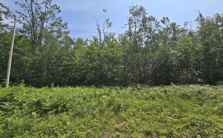 Pictures of Land property located at Iroquois Trail, Gaylord, MI 49735 for sales - image #1