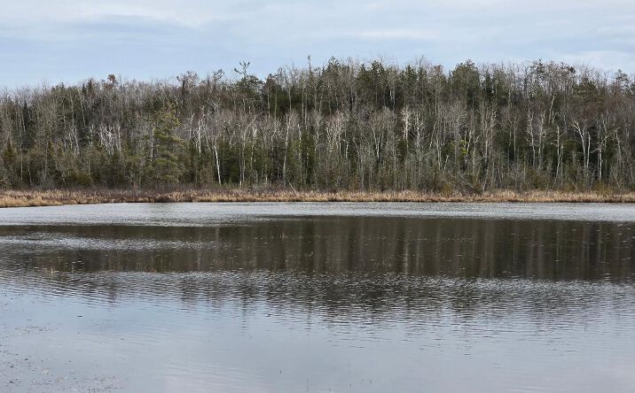 Pictures of Land property located at Kelley Millersburg, Ocqueoc, MI 49759 for sales - image #1