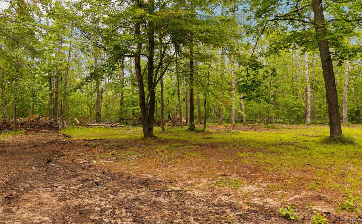Pictures of Land property located at 6644 Lynx Trail, Gaylord, MI 49735 for sales - image #1