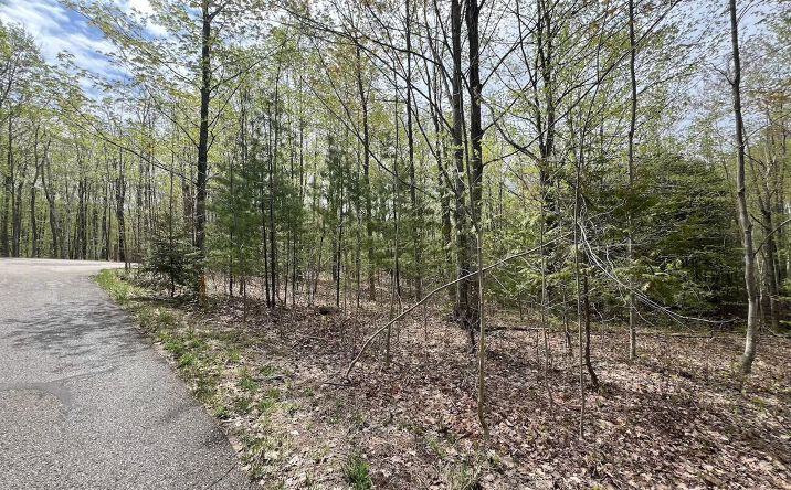 Pictures of Land property located at 1275 Lone Oak, Petoskey, MI 49770 for sales - image #1