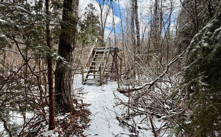 Pictures of Land property located at 1490 Calcut Lachine, Lachine, MI 49753 for sales - image #1