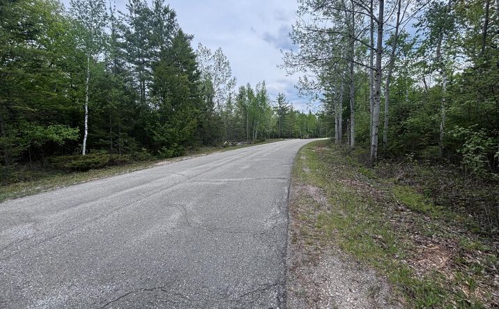 Pictures of Land property located at L 177-179 Northland Heights, Presque Isle, MI 49777 for sales - image #1