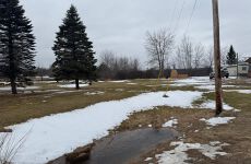 33611307
