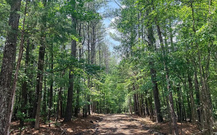 Pictures of Land property located at 1573 Norris Lake Way, Snellville, GA 30039 for sales - image #1