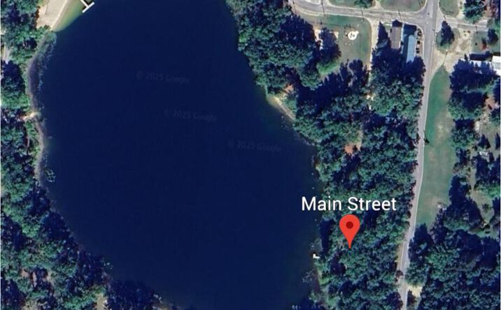 Pictures of Land property located at V/L 0.25A Main, Wellston, MI 49689 for sales - image #1