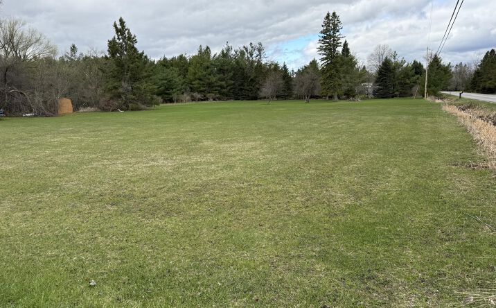 Pictures of Land property located at Scott Rd, Hubbard Lake, MI 49747 for sales - image #1
