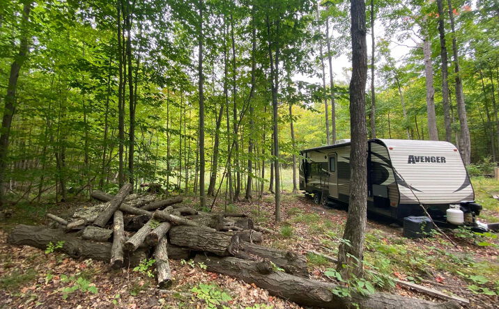 Pictures of Land property located at 3059 Weaver Rd, Fairview, MI 48621 for sales - image #1