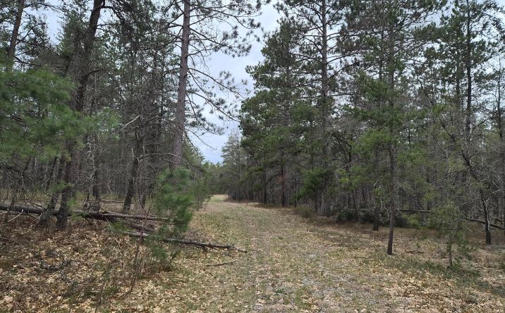 Pictures of Land property located at 80 AC Willows Roscommon, Roscommon, MI 48653 for sales - image #1