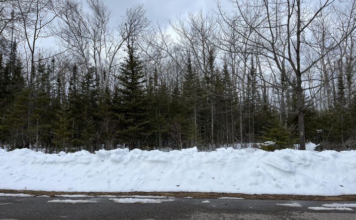 Pictures of Land property located at L 130-131 Laurelhill Cir, Presque Isle Harbor, MI 49777 for sales - image #1