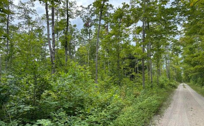 Pictures of Land property located at V/L Par B Misiak, Presque Isle, MI 49777 for sales - image #1