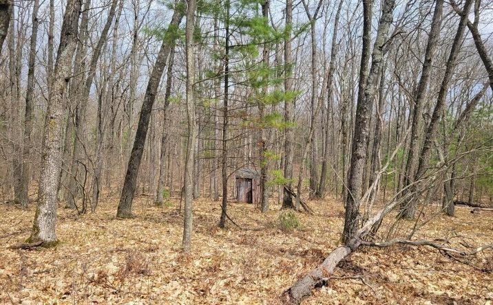 Pictures of Land property located at Dowler Dr, Roscommon, MI 48651 for sales - image #1