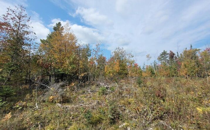 Pictures of Land property located at E Airport Hwy, Rogers City, MI 49779 for sales - image #1