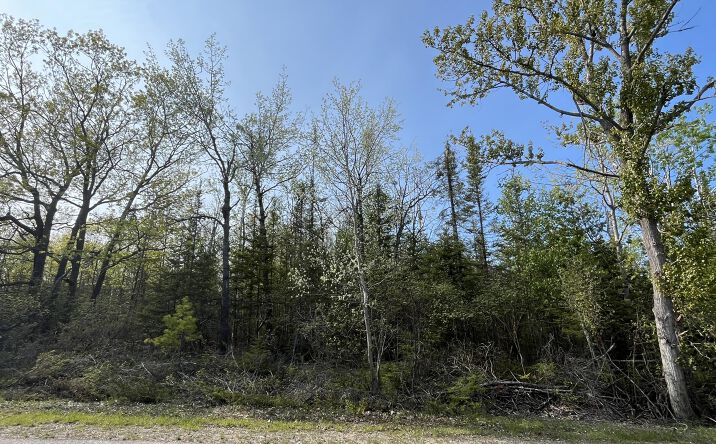 Pictures of Land property located at Lot 102 Laurelhill, Presque Isle Harbor, MI 49777 for sales - image #1