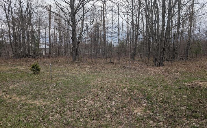 Pictures of Land property located at 6736 Finnegan Rd, Johannesburg, MI 49751 for sales - image #1