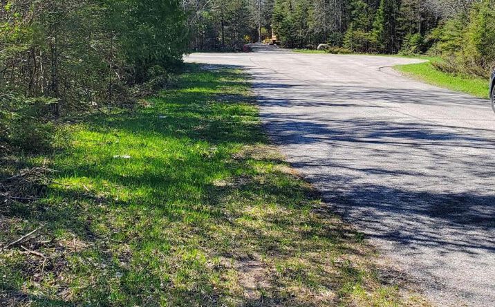 Pictures of Land property located at Lot 292 Bay View Dr, Presque Isle Harbor, MI 49777 for sales - image #1