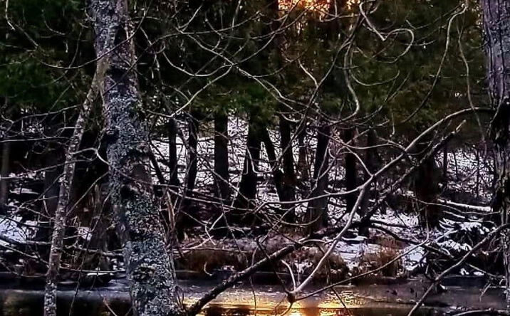 Pictures of Land property located at Parcel B W 638, Onaway, MI 49765 for sales - image #1