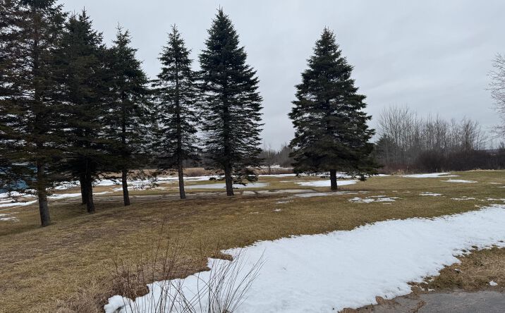 Pictures of Land property located at 7592 E Houghton Lake Rd, Merritt, MI 49667 for sales - image #1
