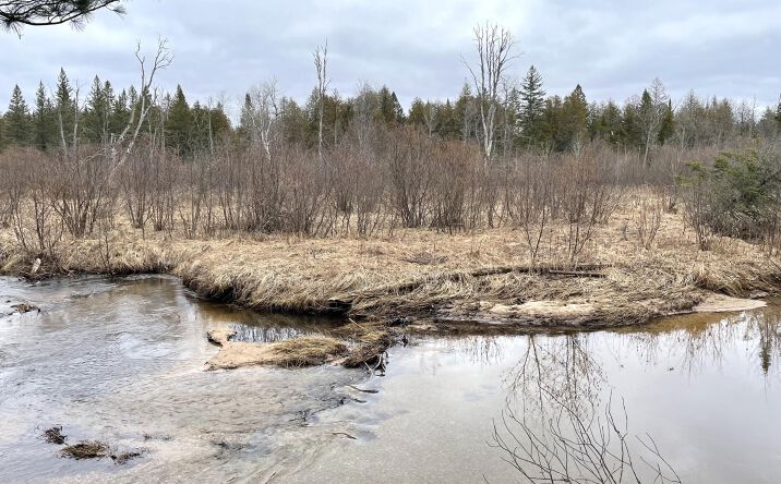 Pictures of Land property located at Par 17 Spikehorn, Indian River, MI 49749 for sales - image #1