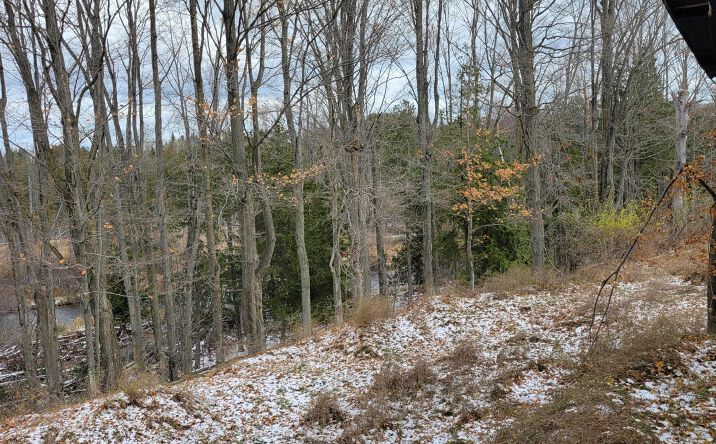 Pictures of Land property located at 8435 Wolf Creek Herron, Herron, MI 49744 for sales - image #1