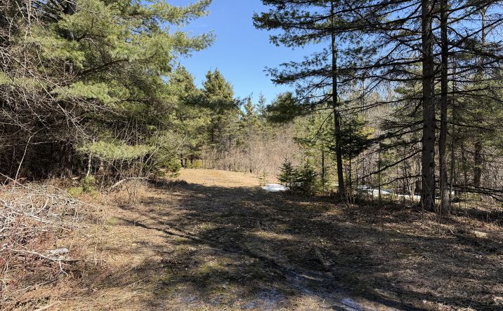 18.83 AC M32 W, Gaylord