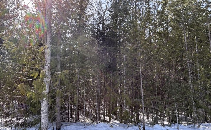 Pictures of Land property located at Lots 55-56 Wilderness, Presque Isle, MI 49777 for sales - image #1
